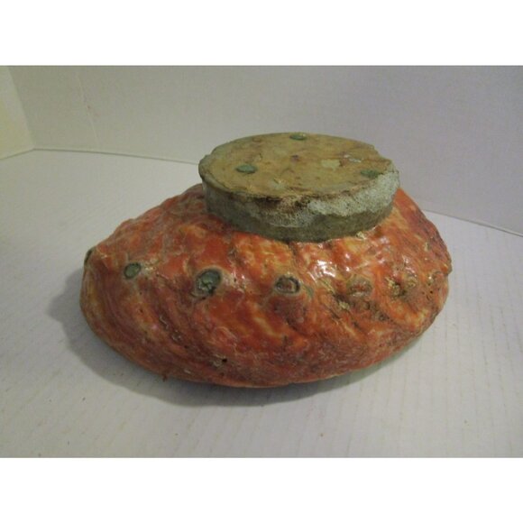Red Abalone Large 9" Shell Haliotis Rufescens w/ Barnacles & Stone Base Antique - Picture 7 of 7